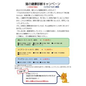 猫ちゃんの健康診断キャンペーンLINE2025
