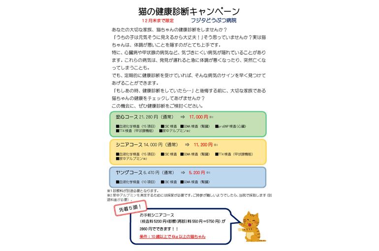 猫ちゃんの健康診断キャンペーンLINE2025