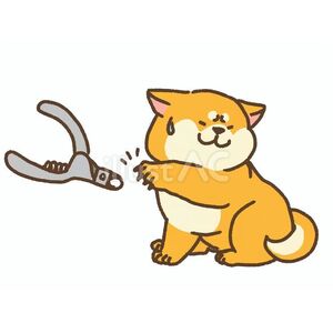 裁断済み　UP DATE! 犬アトピー性皮膚炎　2025年版　伊従慶太 慢性皮膚疾患（アトピー、膿皮症など）のワンちゃんに朗報！ | 動物