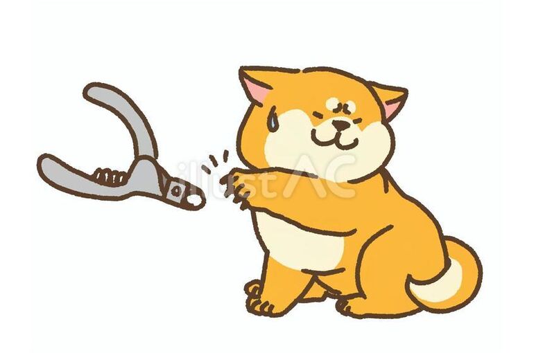 5ca0a33f2da6a7dc9e566329e46f649e_w