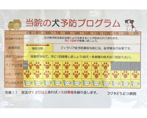 犬　プログラム