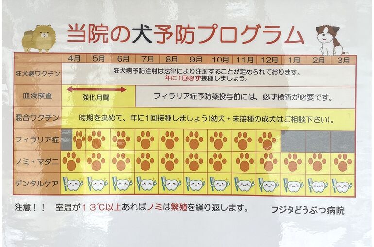 犬　プログラム